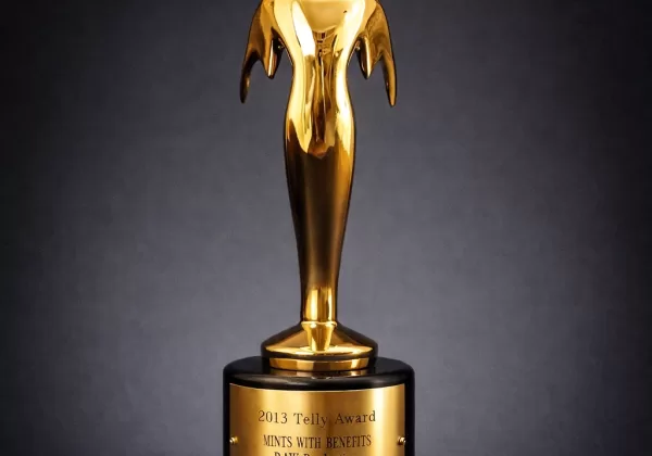 RAW Productions Telly Award Bronze Winner 2013